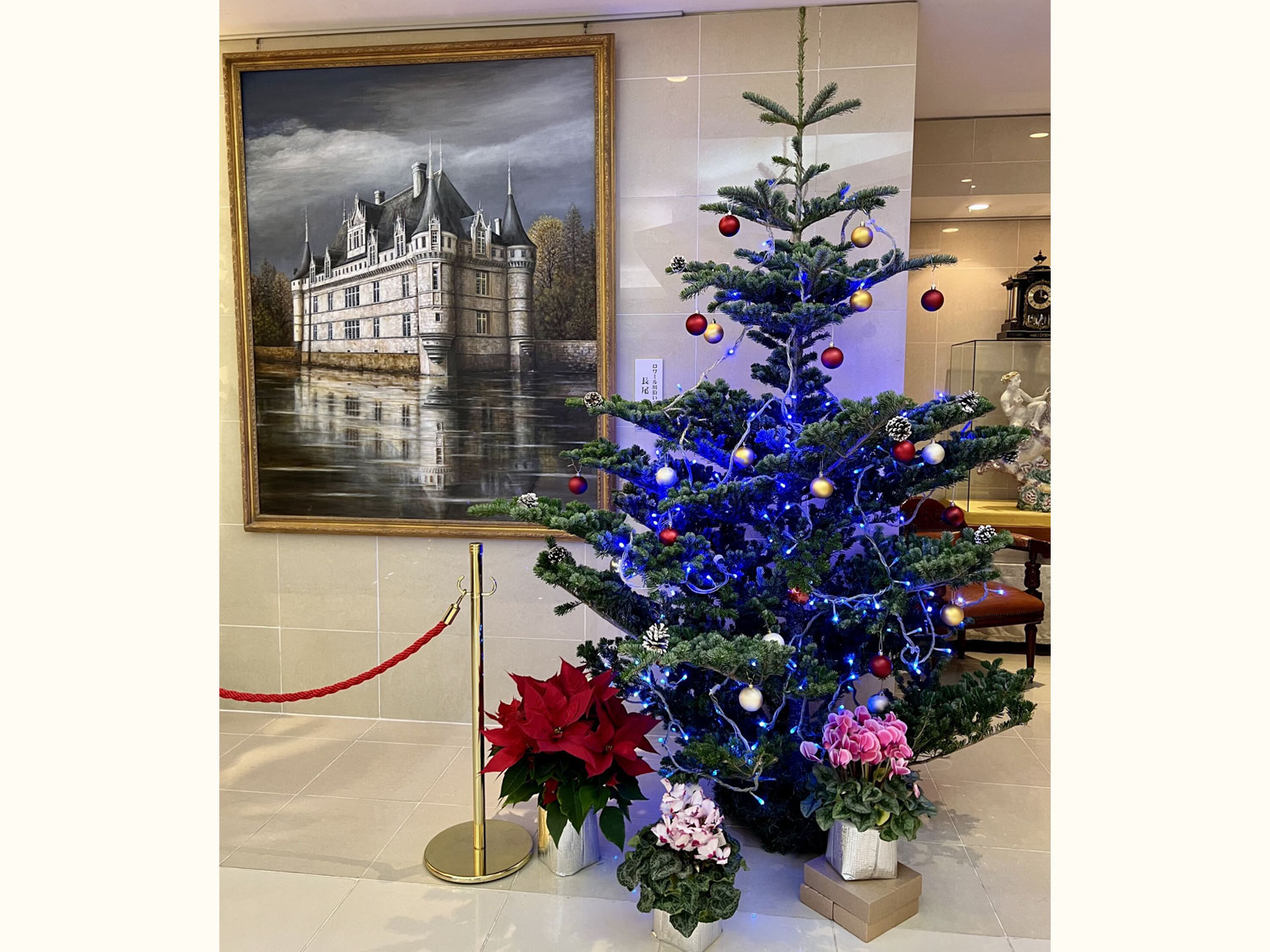Xmas特別コースのお知らせ イメージ